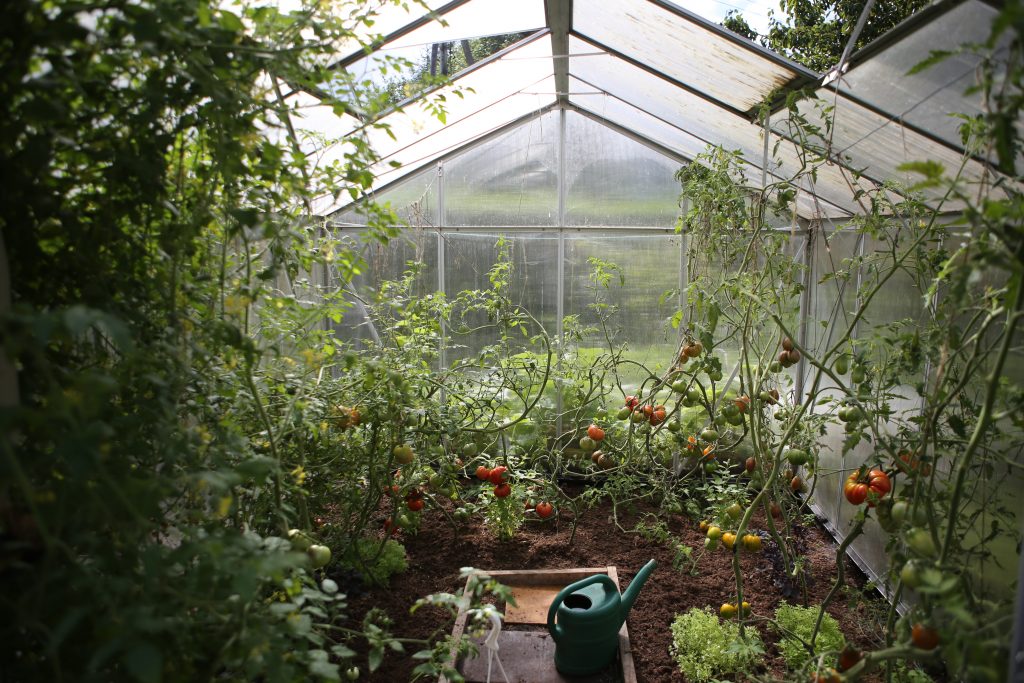 Spend the summer gardening 